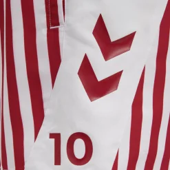 DBU FAN 2020 SWIM SHORTS