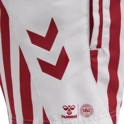 DBU FAN 2020 SWIM SHORTS KIDS