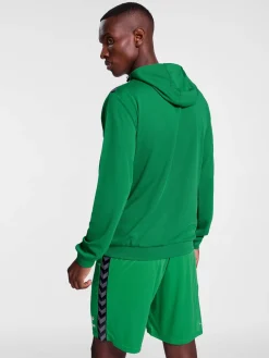 hmlAUTHENTIC PL HOODIE