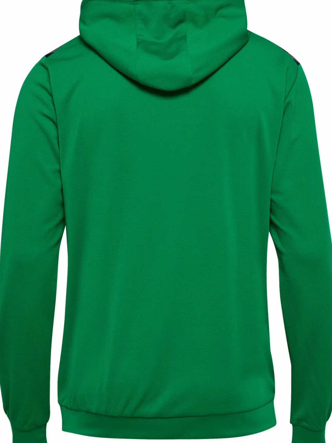 hmlAUTHENTIC PL HOODIE