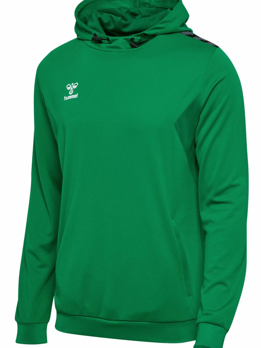 hmlAUTHENTIC PL HOODIE