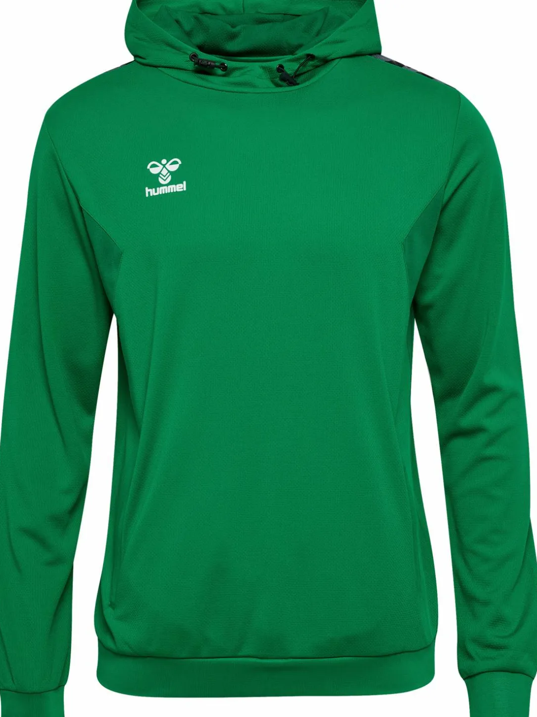 hmlAUTHENTIC PL HOODIE