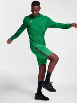 hmlAUTHENTIC PL HOODIE