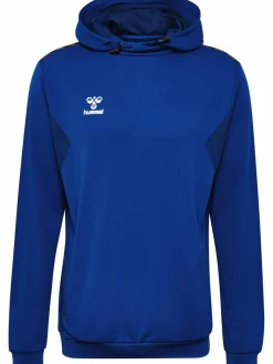 hmlAUTHENTIC PL HOODIE