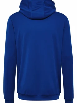 hmlAUTHENTIC PL HOODIE