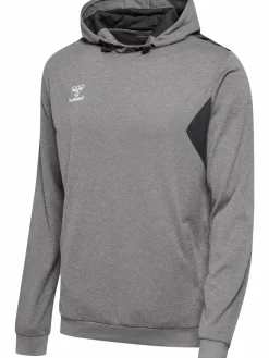 hmlAUTHENTIC PL HOODIE