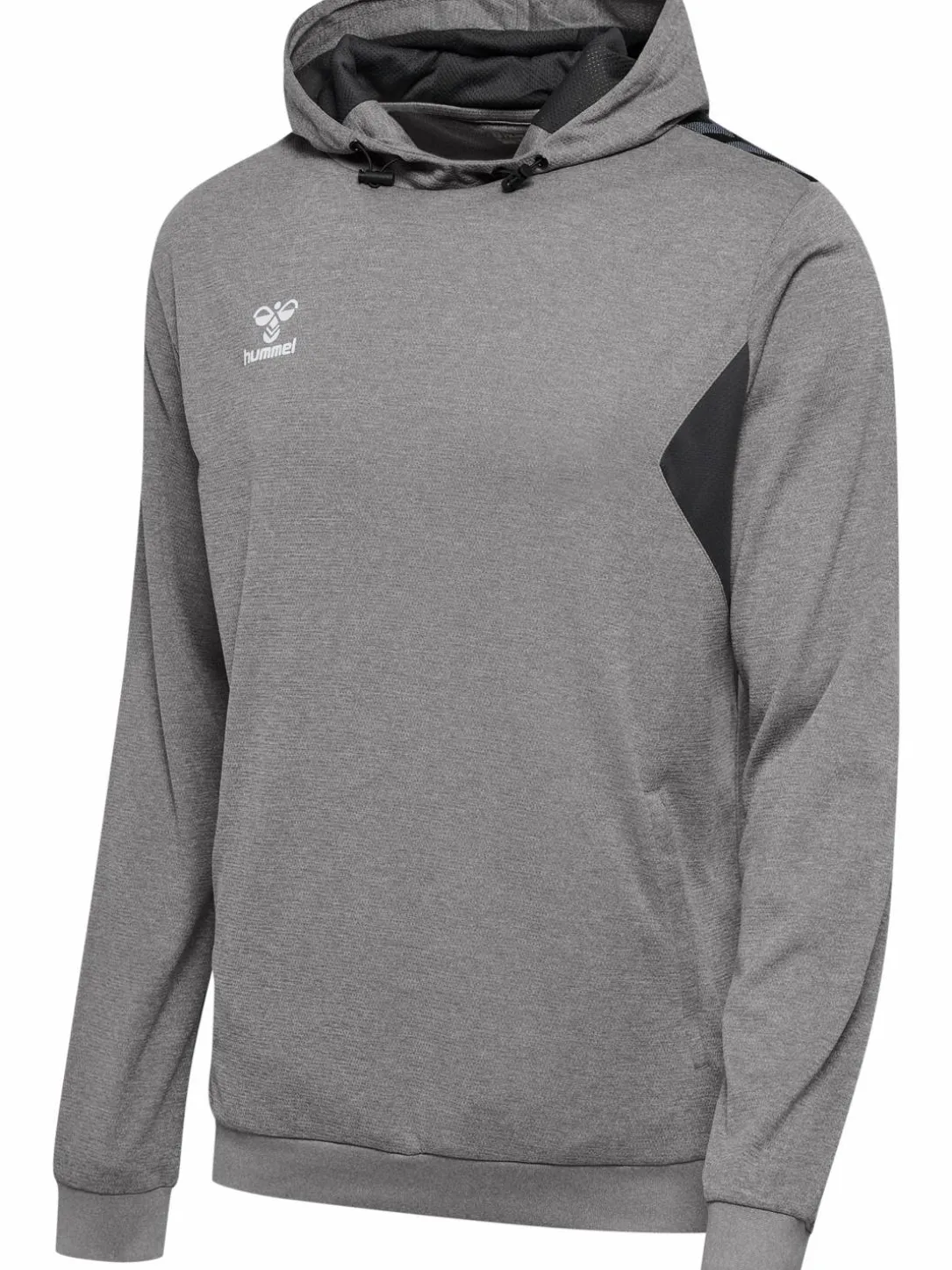 hmlAUTHENTIC PL HOODIE