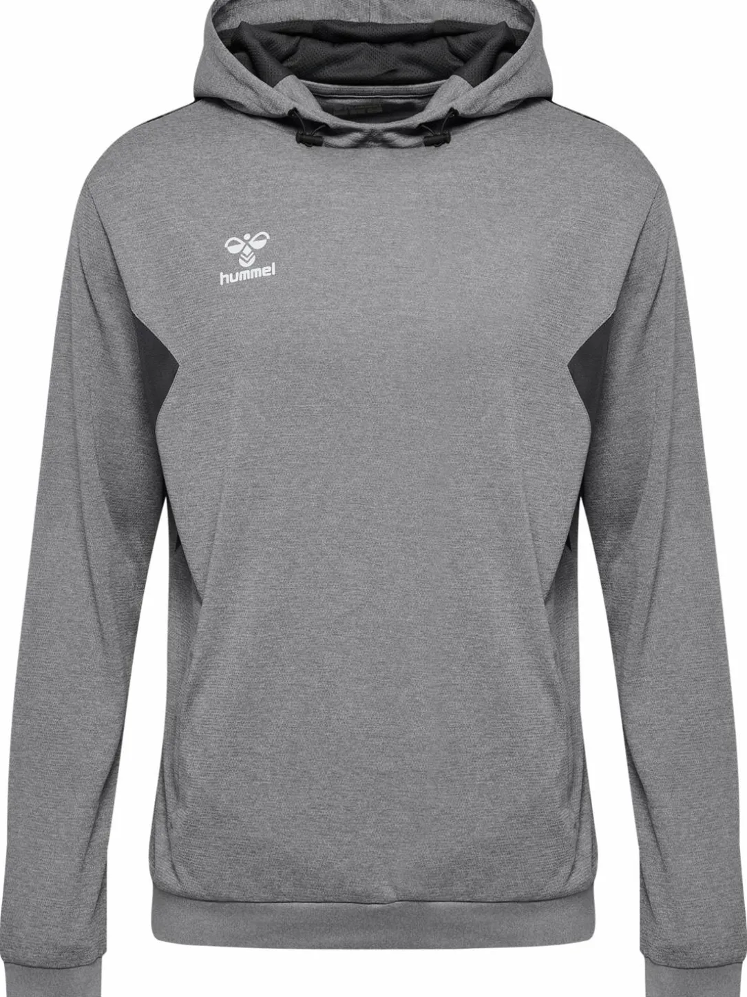 hmlAUTHENTIC PL HOODIE