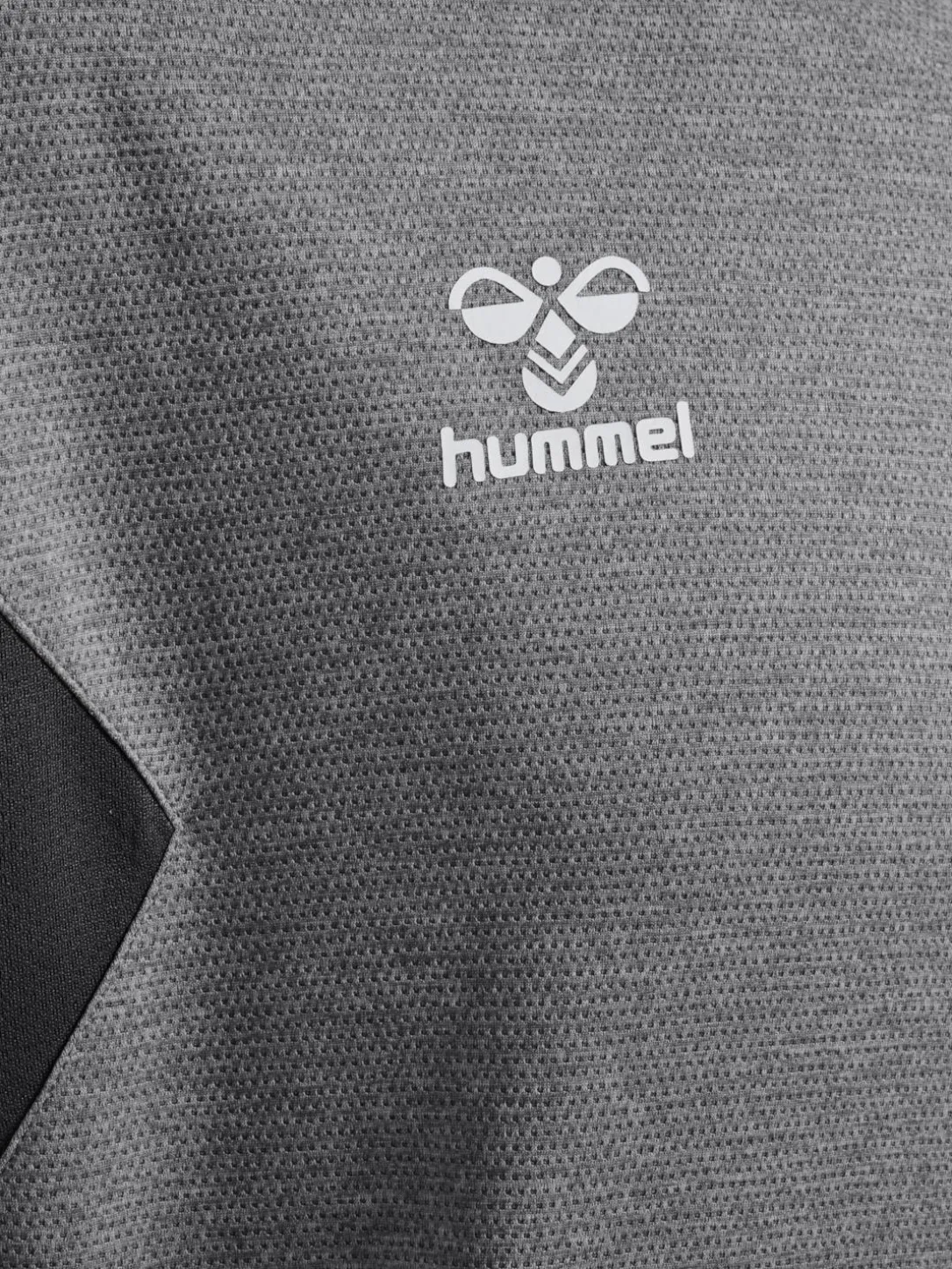 hmlAUTHENTIC PL HOODIE