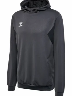 hmlAUTHENTIC PL HOODIE