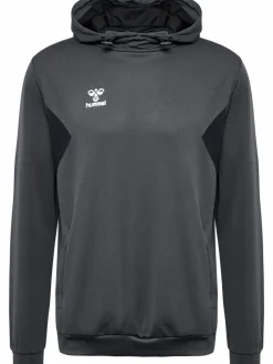 hmlAUTHENTIC PL HOODIE