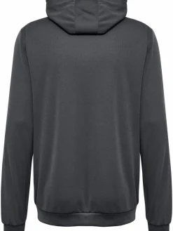 hmlAUTHENTIC PL HOODIE