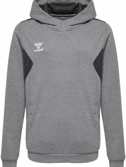 hmlAUTHENTIC PL HOODIE KIDS