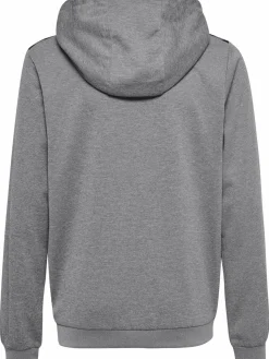 hmlAUTHENTIC PL HOODIE KIDS
