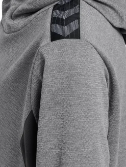 hmlAUTHENTIC PL HOODIE KIDS