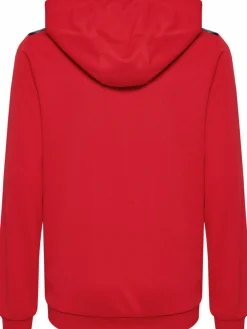 hmlAUTHENTIC PL HOODIE KIDS