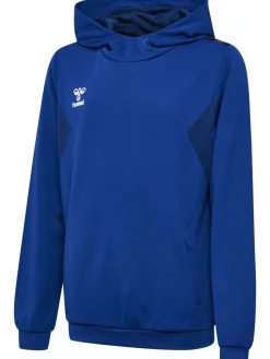 hmlAUTHENTIC PL HOODIE KIDS