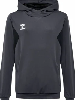 hmlAUTHENTIC PL HOODIE KIDS