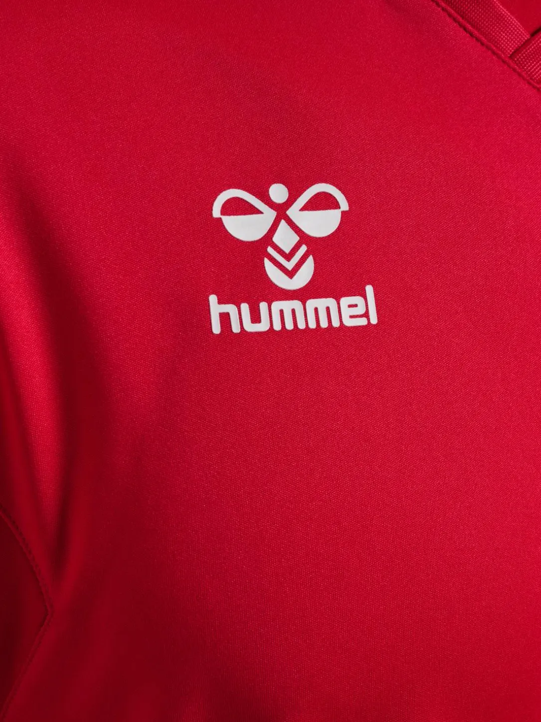 hmlAUTHENTIC PL JERSEY L/S