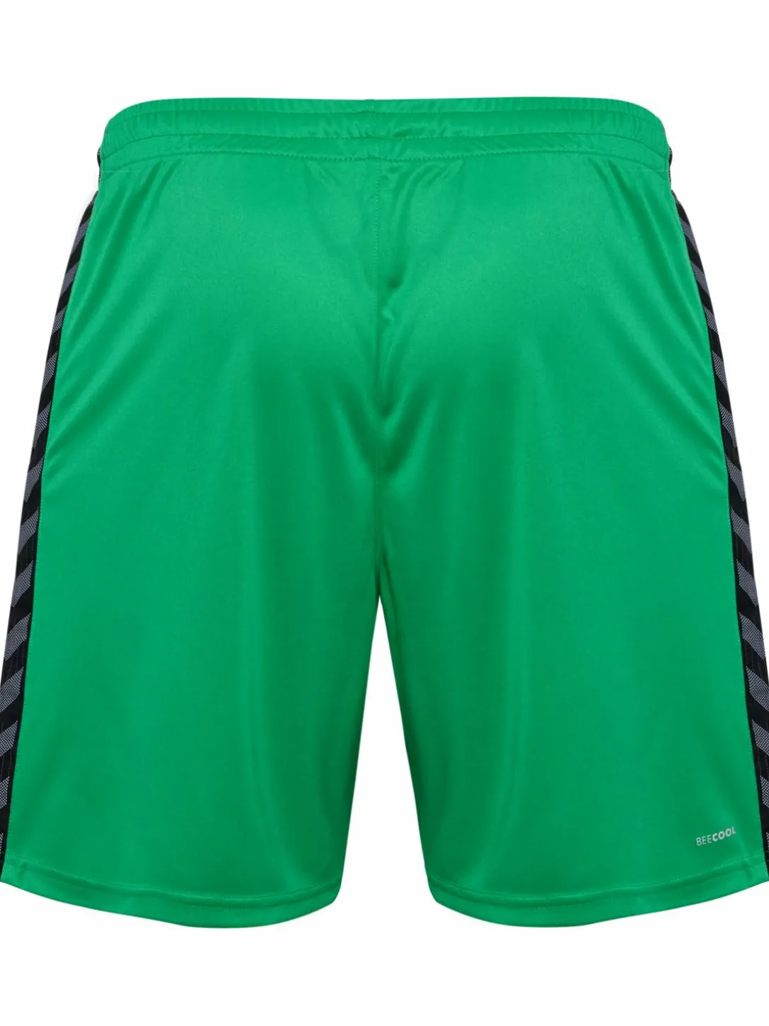 hmlAUTHENTIC PL SHORTS