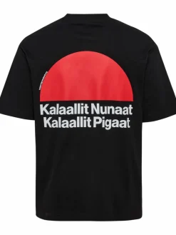 hmlGREENLAND T-SHIRT S/S