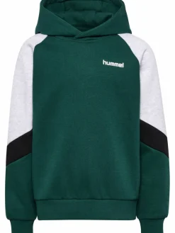 hmlJR LOOSE BLOCKED HOODIE
