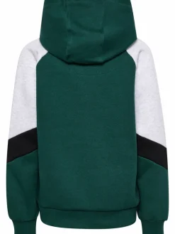 hmlJR LOOSE BLOCKED HOODIE