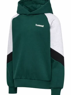 hmlJR LOOSE BLOCKED HOODIE