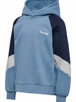 hmlJR LOOSE BLOCKED HOODIE