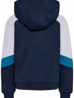 hmlJR LOOSE BLOCKED ZIP HOODIE