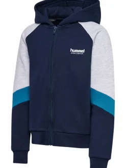 hmlJR LOOSE BLOCKED ZIP HOODIE
