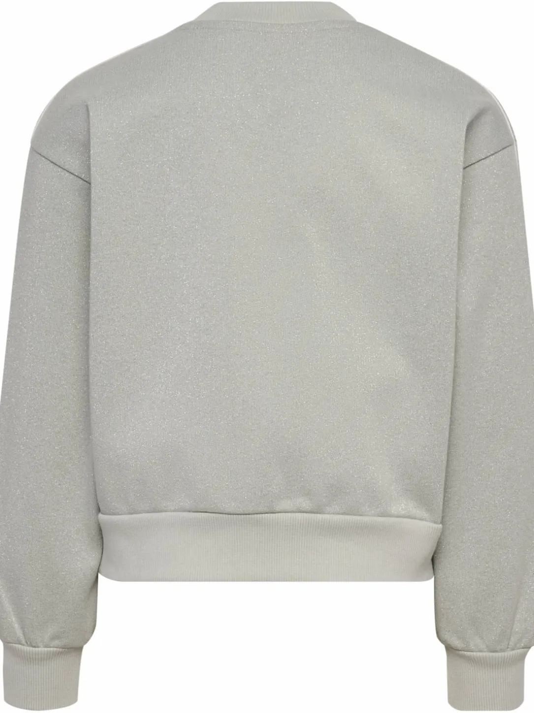 hmlJR LOOSE GLITTER CREWNECK