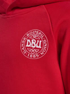 hmlJR REG DBU HOODIE