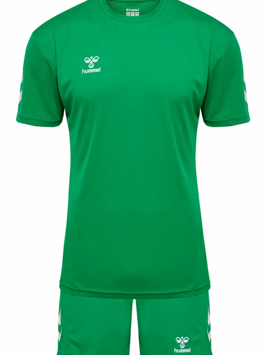 hmlLOGO SET