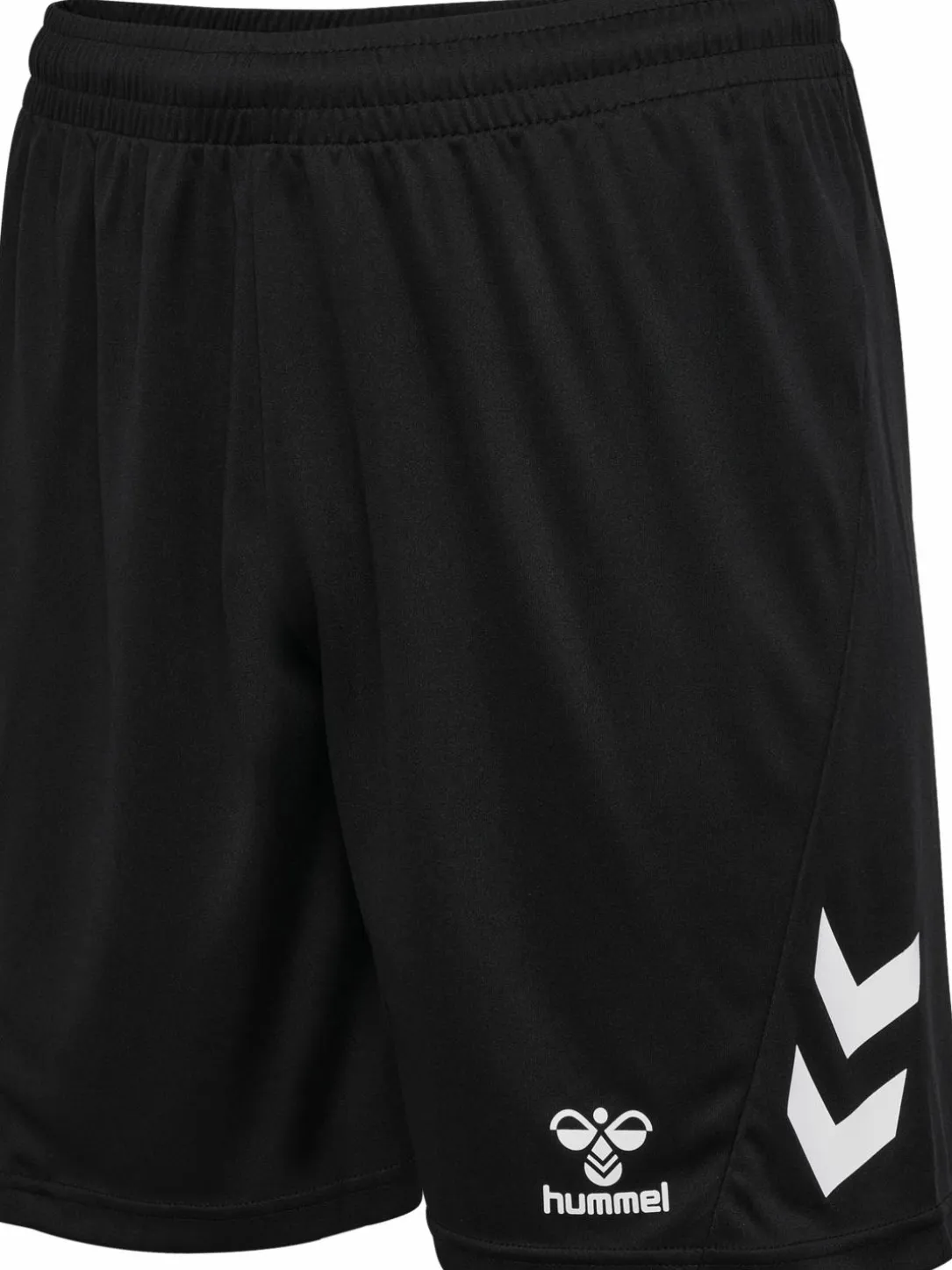 hmlLOGO SET