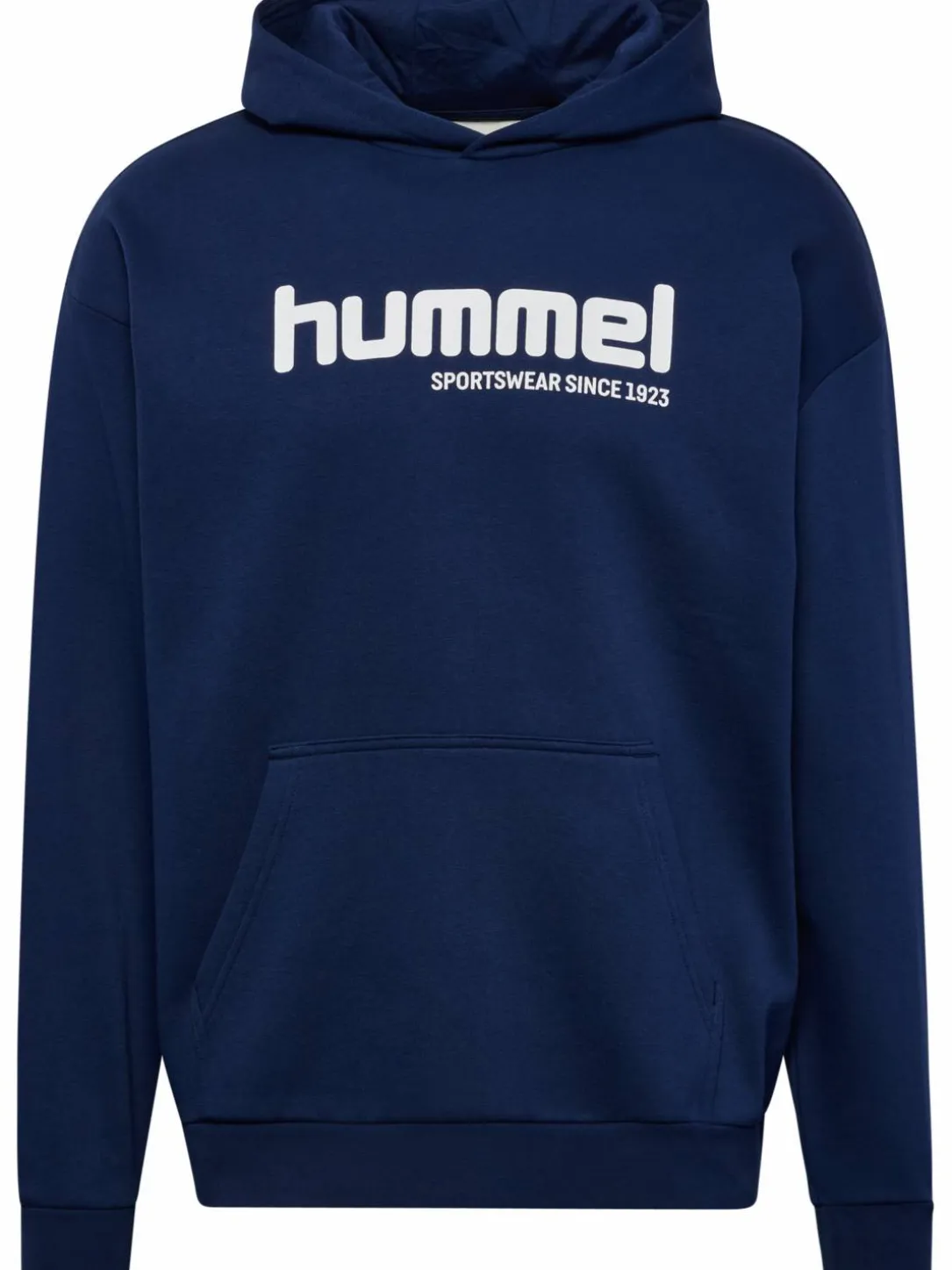 hmlSW GRAPHIC HOODIE