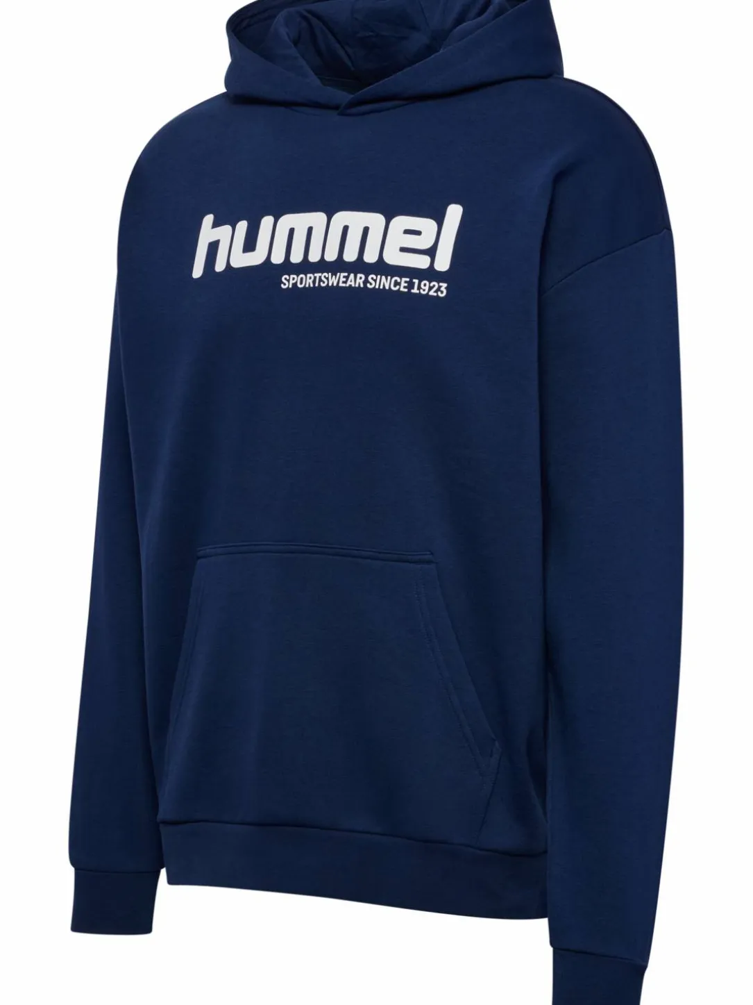 hmlSW GRAPHIC HOODIE