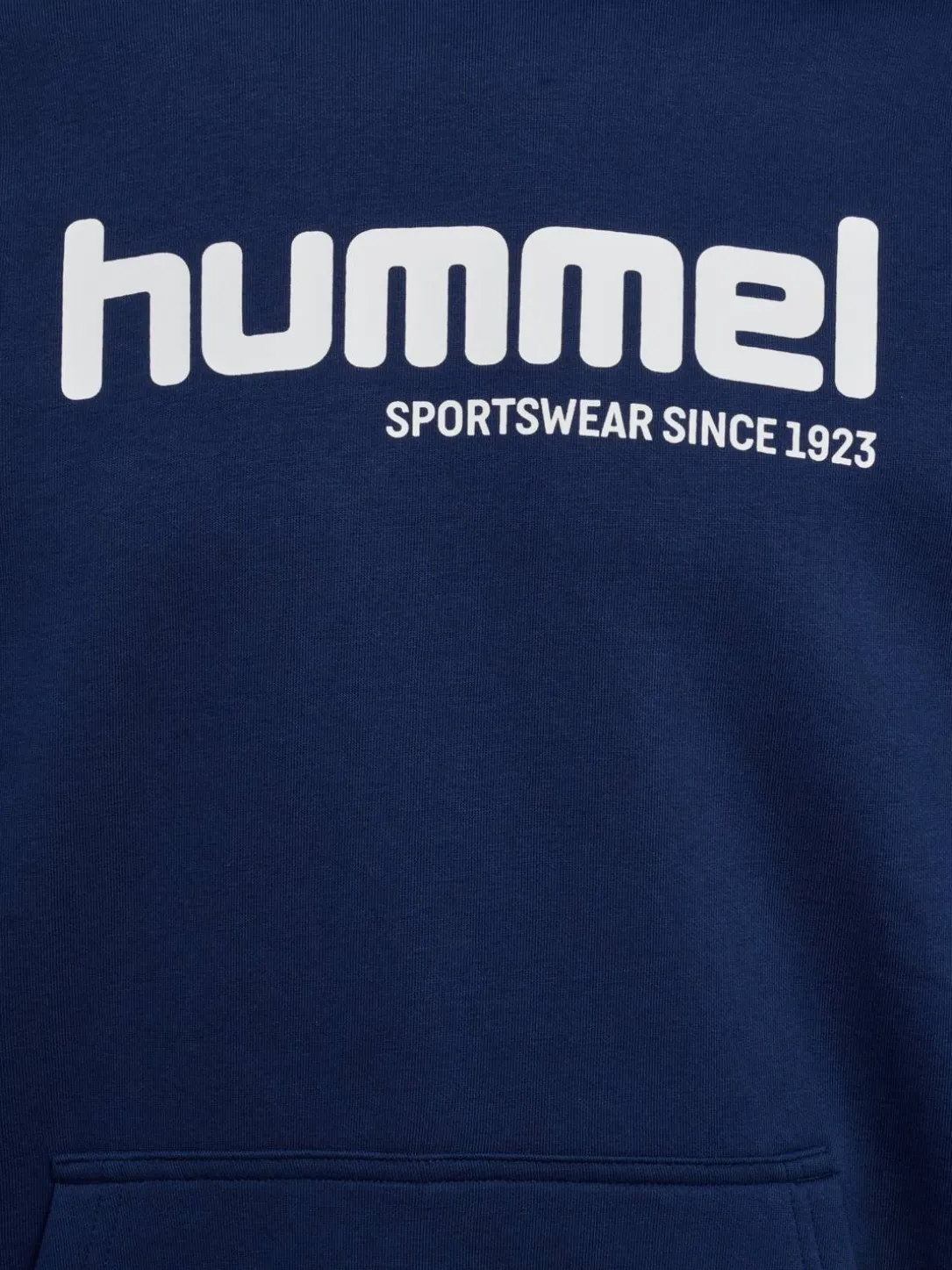 hmlSW GRAPHIC HOODIE